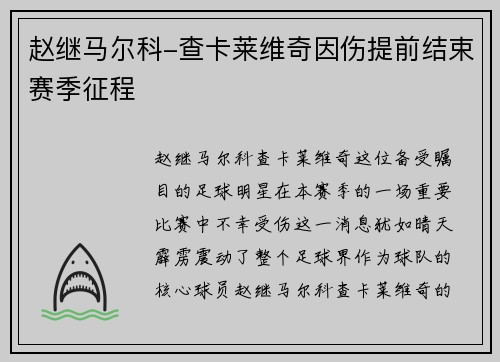 赵继马尔科-查卡莱维奇因伤提前结束赛季征程